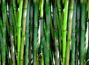 Bambusgarn